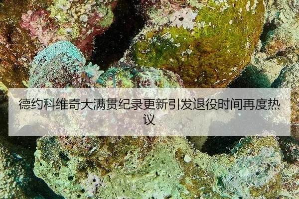 德约科维奇大满贯纪录更新引发退役时间再度热议